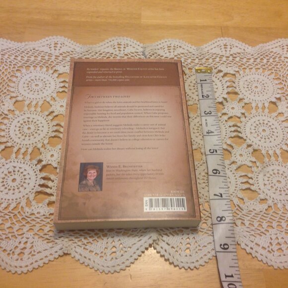 3 for $10 book sale! Amish -  Dear to Me, Wanda E. Brunstetter - Picture 5 of 7